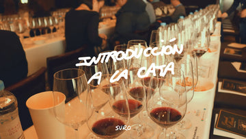 Cata de Vinos Naturales: Descubre una Experiencia Sensorial Única