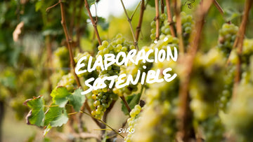 Vinos Naturales y Sostenibilidad: Cosechando un Futuro Más Verde