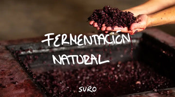 Descubre la Magia de la Fermentación Natural en Nuestros Vinos Naturales